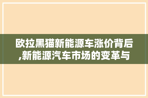 欧拉黑猫新能源车涨价背后,新能源汽车市场的变革与机遇
