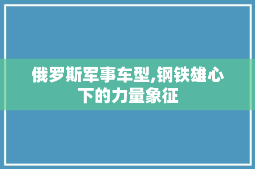 俄罗斯军事车型,钢铁雄心下的力量象征