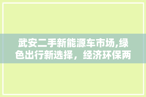 武安二手新能源车市场,绿色出行新选择，经济环保两相宜