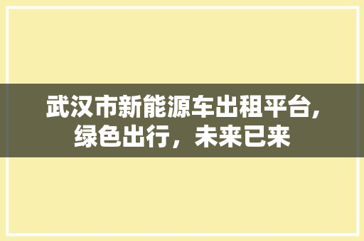 武汉市新能源车出租平台,绿色出行，未来已来
