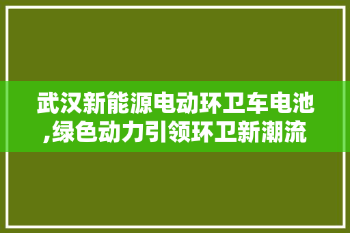 武汉新能源电动环卫车电池,绿色动力引领环卫新潮流