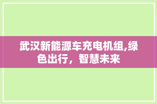 武汉新能源车充电机组,绿色出行，智慧未来