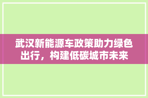 武汉新能源车政策助力绿色出行，构建低碳城市未来
