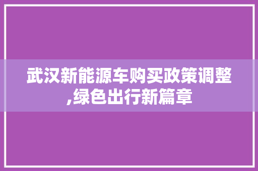 武汉新能源车购买政策调整,绿色出行新篇章