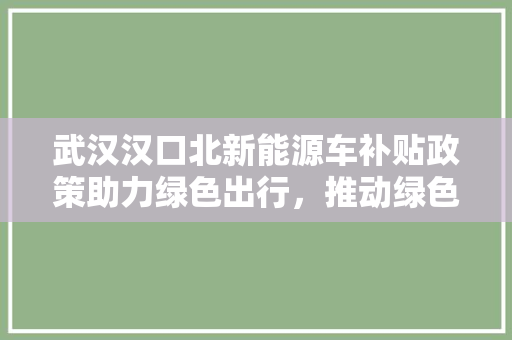 武汉汉口北新能源车补贴政策助力绿色出行，推动绿色经济发展