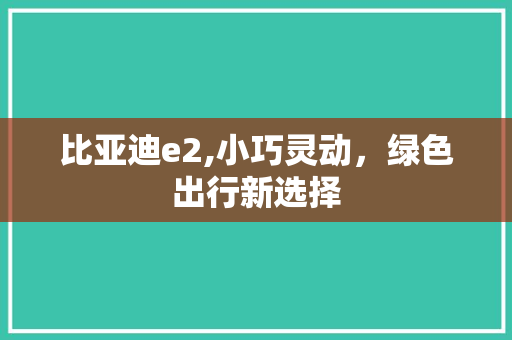 比亚迪e2,小巧灵动，绿色出行新选择