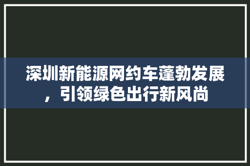 深圳新能源网约车蓬勃发展，引领绿色出行新风尚