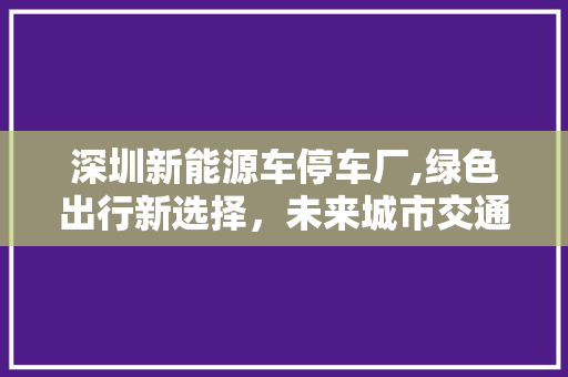 深圳新能源车停车厂,绿色出行新选择，未来城市交通新引擎