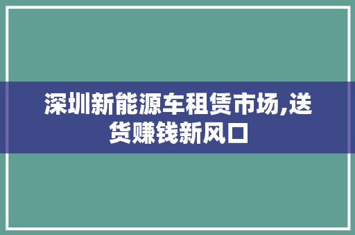 深圳新能源车租赁市场,送货赚钱新风口