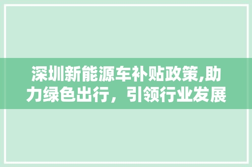深圳新能源车补贴政策,助力绿色出行，引领行业发展