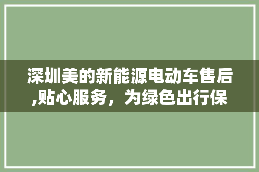 深圳美的新能源电动车售后,贴心服务，为绿色出行保驾护航