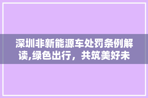 深圳非新能源车处罚条例解读,绿色出行，共筑美好未来