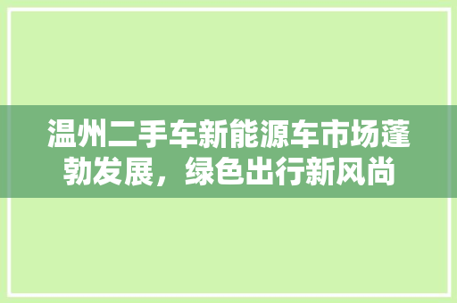 温州二手车新能源车市场蓬勃发展，绿色出行新风尚