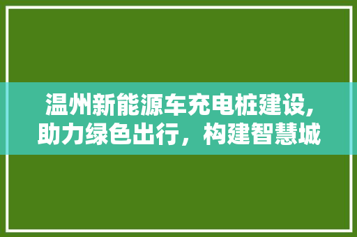 温州新能源车充电桩建设,助力绿色出行，构建智慧城市
