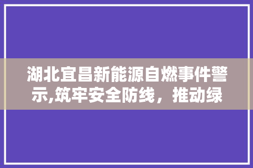 湖北宜昌新能源自燃事件警示,筑牢安全防线，推动绿色出行