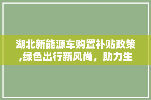 湖北新能源车购置补贴政策,绿色出行新风尚，助力生态文明建设