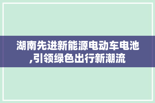 湖南先进新能源电动车电池,引领绿色出行新潮流