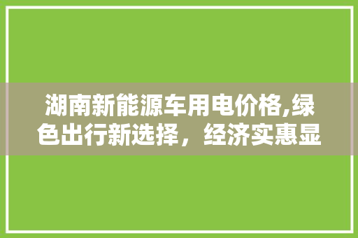 湖南新能源车用电价格,绿色出行新选择，经济实惠显优势