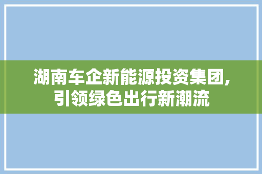 湖南车企新能源投资集团,引领绿色出行新潮流