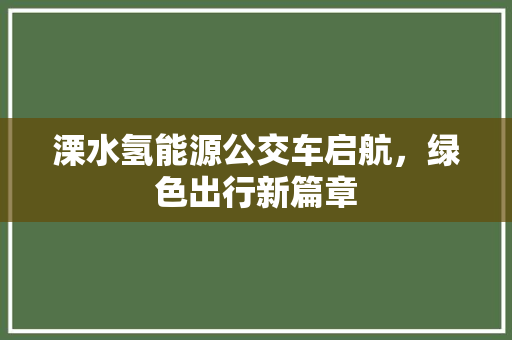 溧水氢能源公交车启航，绿色出行新篇章