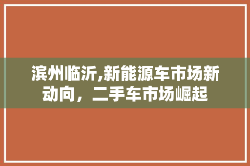 滨州临沂,新能源车市场新动向，二手车市场崛起