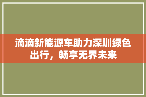 滴滴新能源车助力深圳绿色出行，畅享无界未来