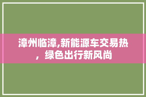 漳州临漳,新能源车交易热，绿色出行新风尚