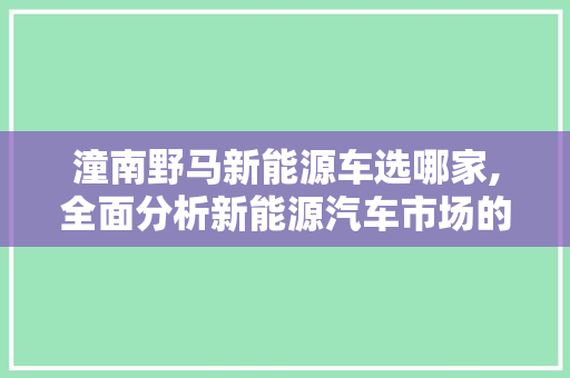 潼南野马新能源车选哪家,全面分析新能源汽车市场的佼佼者