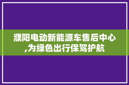 濮阳电动新能源车售后中心,为绿色出行保驾护航