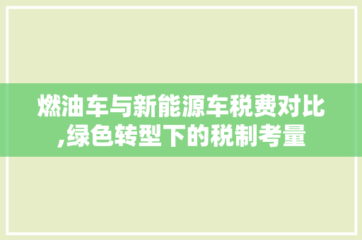 燃油车与新能源车税费对比,绿色转型下的税制考量