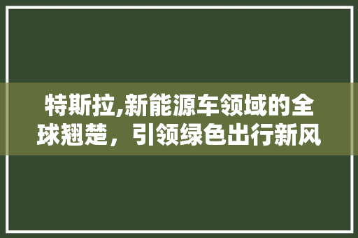特斯拉,新能源车领域的全球翘楚，引领绿色出行新风尚
