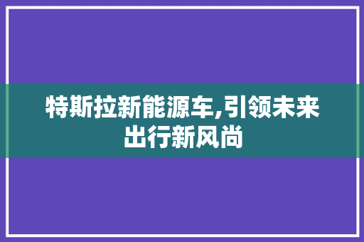特斯拉新能源车,引领未来出行新风尚