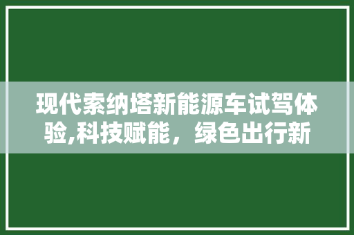 现代索纳塔新能源车试驾体验,科技赋能，绿色出行新篇章