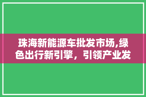 珠海新能源车批发市场,绿色出行新引擎，引领产业发展新潮流