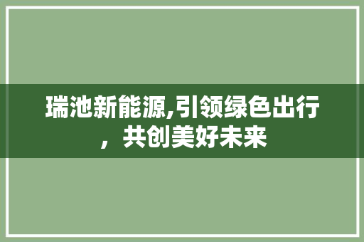 瑞池新能源,引领绿色出行，共创美好未来