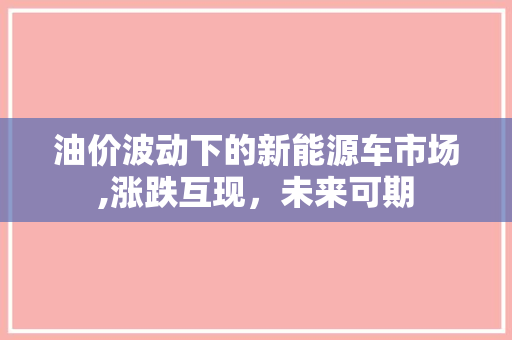 油价波动下的新能源车市场,涨跌互现，未来可期