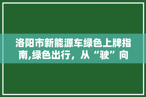 洛阳市新能源车绿色上牌指南,绿色出行，从“驶”向未来