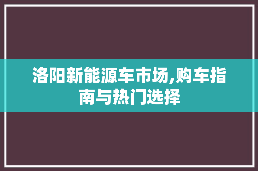 洛阳新能源车市场,购车指南与热门选择