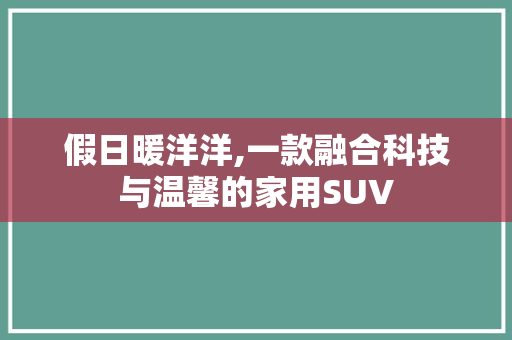 假日暖洋洋,一款融合科技与温馨的家用SUV