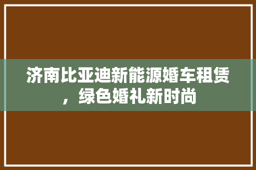 济南比亚迪新能源婚车租赁，绿色婚礼新时尚