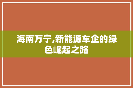 海南万宁,新能源车企的绿色崛起之路