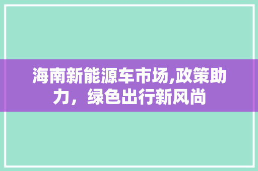 海南新能源车市场,政策助力，绿色出行新风尚