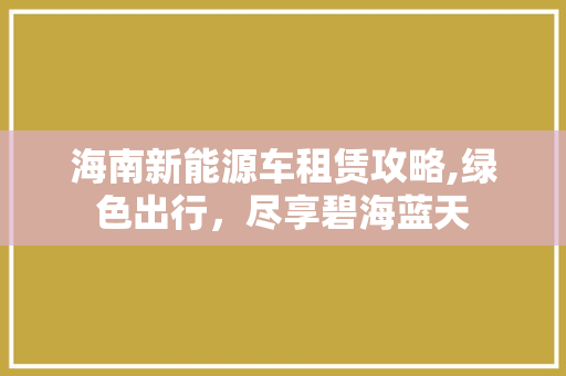海南新能源车租赁攻略,绿色出行，尽享碧海蓝天