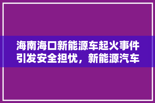 海南海口新能源车起火事件引发安全担忧，新能源汽车产业发展如何破局