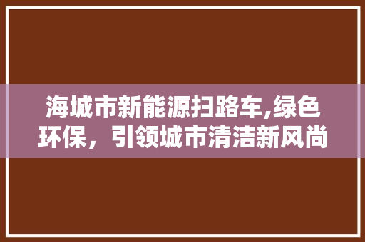 海城市新能源扫路车,绿色环保，引领城市清洁新风尚