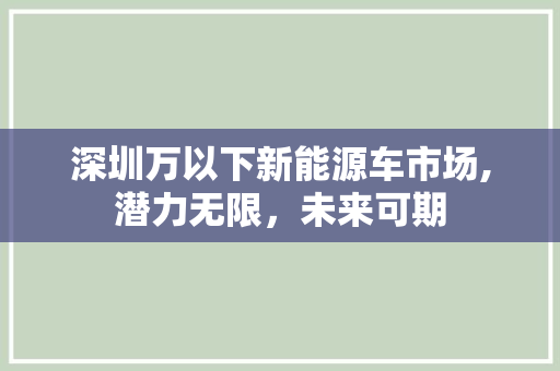 深圳万以下新能源车市场,潜力无限，未来可期