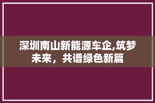 深圳南山新能源车企,筑梦未来，共谱绿色新篇