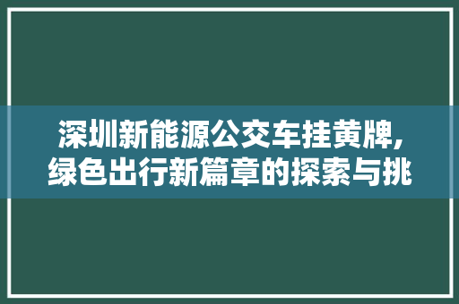 深圳新能源公交车挂黄牌,绿色出行新篇章的探索与挑战