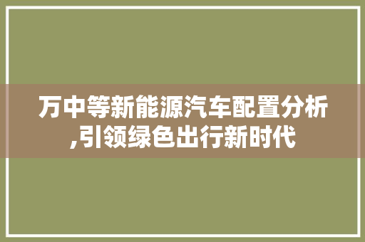 万中等新能源汽车配置分析,引领绿色出行新时代