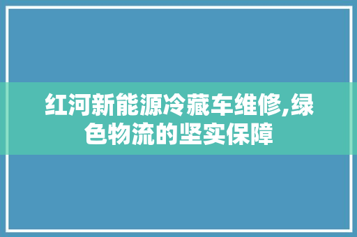 红河新能源冷藏车维修,绿色物流的坚实保障